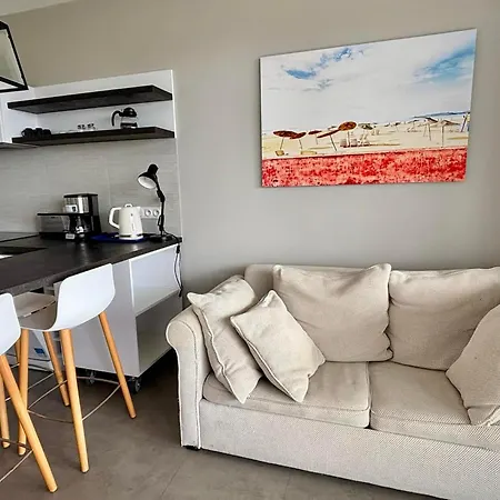 1 Mer, Plage, Piscine, Parking, Clim, Animaux Admis - Fr-1-194-216 Apartment La Tranche-sur-Mer