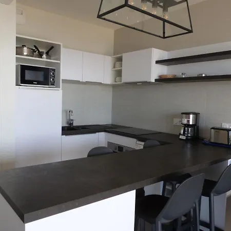 Lejlighed 1 Mer, Plage, Piscine, Parking, Clim, Animaux Admis - Fr-1-194-216