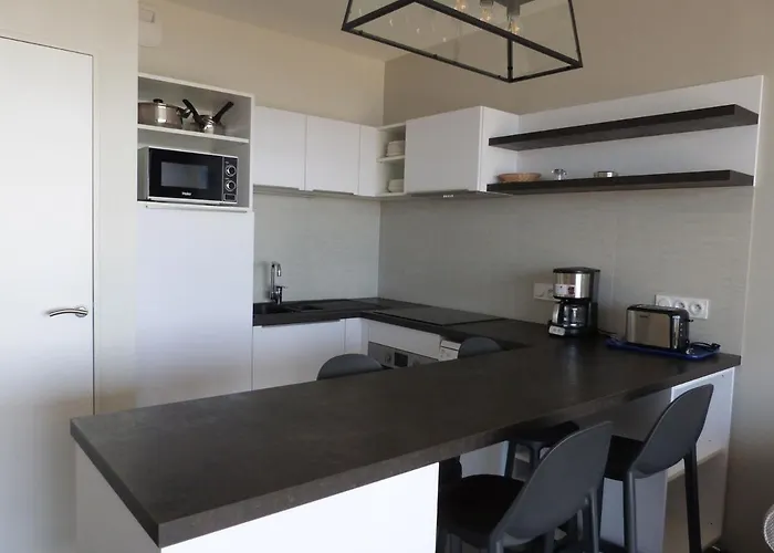 Appartement 1 Mer, Plage, Piscine, Parking, Clim, Animaux Admis - Fr-1-194-216