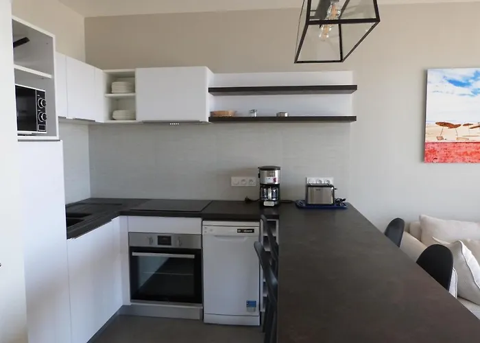 Apartman 1 Mer, Plage, Piscine, Parking, Clim, Animaux Admis - Fr-1-194-216 *